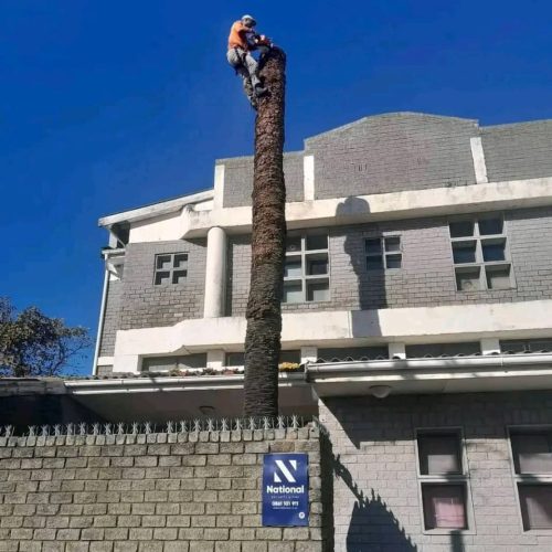 WhatsApp Image 2025-08-11 at 08.09.42 (2)