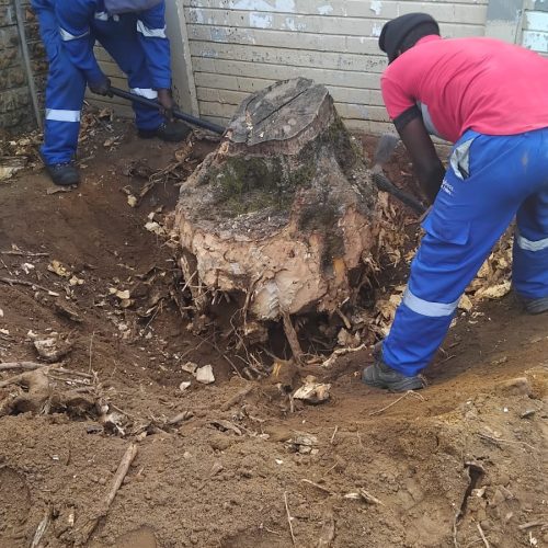 WhatsApp Image 2025-08-11 at 08.09.42 (3)