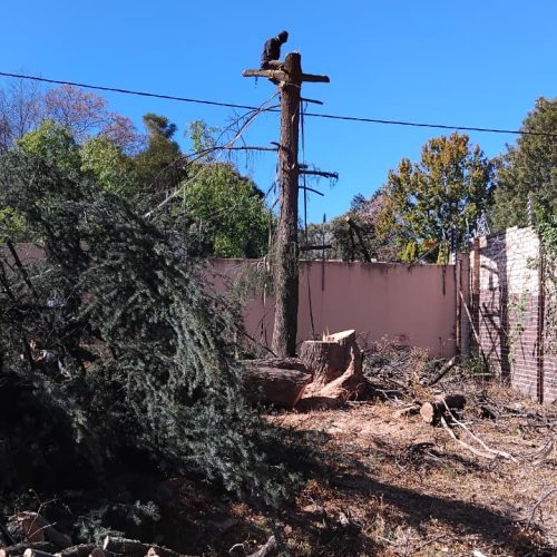 WhatsApp Image 2025-08-11 at 08.09.42