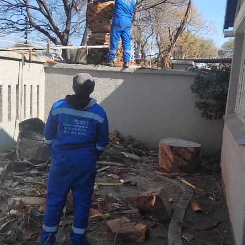 WhatsApp Image 2025-08-11 at 08.09.43 (1)