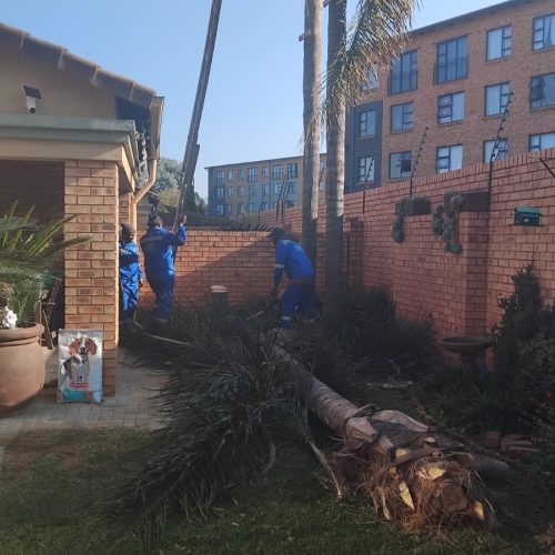 WhatsApp Image 2025-08-11 at 08.09.43 (2)