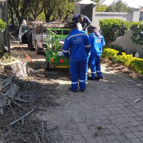 WhatsApp Image 2025-08-11 at 08.09.45 (1)